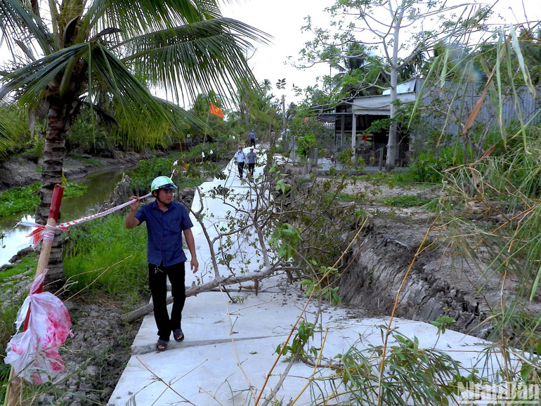 Một tuyến lộ nông thôn còn khá mới ở xã Khánh Hưng (huyện Trần Văn Thời) bị sụt lún, sạt lở.