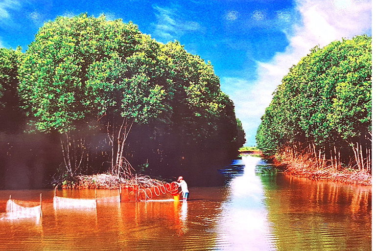 Nuôi tôm dưới tán rừng ngập mặn (tôm-rừng) tại huyện Ngọc Hiển (tỉnh Cà Mau) được đánh giá là một trong những mô hình sản xuất thuận thiên. (Ảnh: Ban tổ chức cung cấp). Nuôi tôm dưới tán rừng ngập mặn (tôm-rừng) tại huyện Ngọc Hiển (tỉnh Cà Mau) được đánh giá là một trong những mô hình sản xuất thuận thiên. (Ảnh: Ban tổ chức cung cấp).