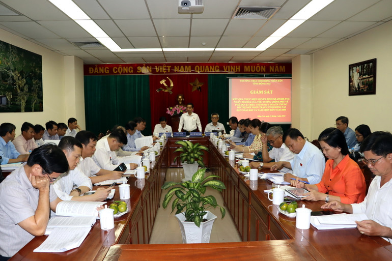 Quang cảnh buổi giám sát. Quang cảnh buổi giám sát.