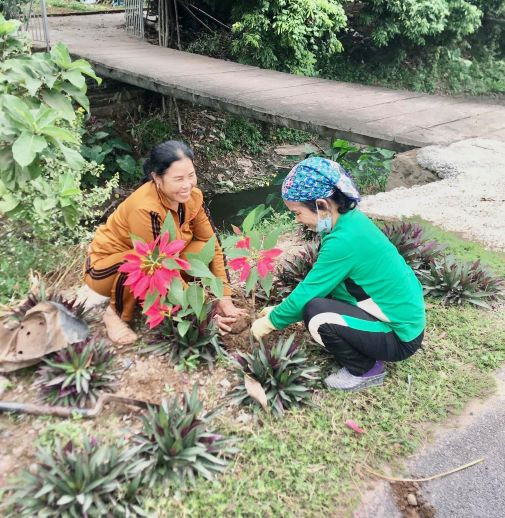 Nơi có đất ven đường thì trồng hoa, trồng cây xanh, những khu vực khác cũng được giữ gìn sạch, các khu dân cư khang trang và ngăn nắp.