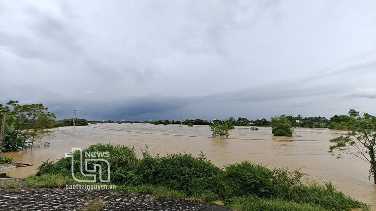 Khu vực đập Ba Đa, phường Cam Giá, thành phố Thái Nguyên.