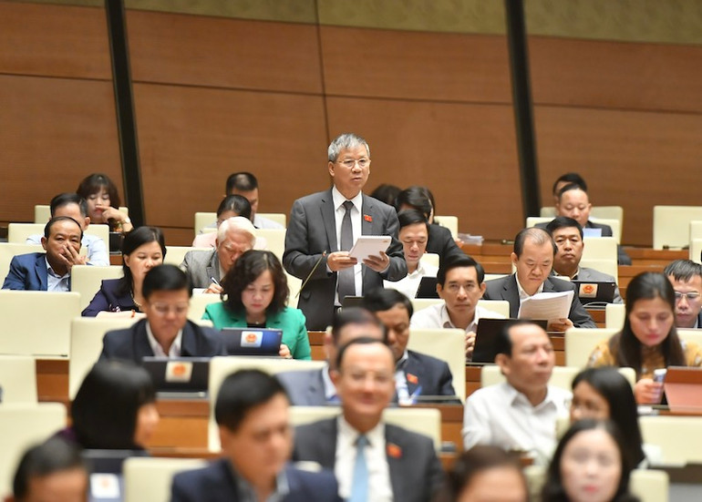 Đại biểu Nguyễn Anh Trí. (Ảnh: Anh Khoa)