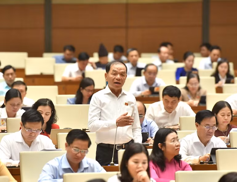 Đại biểu Lê Thanh Vân (đoàn Cà Mau). (Ảnh: Đăng Khoa)