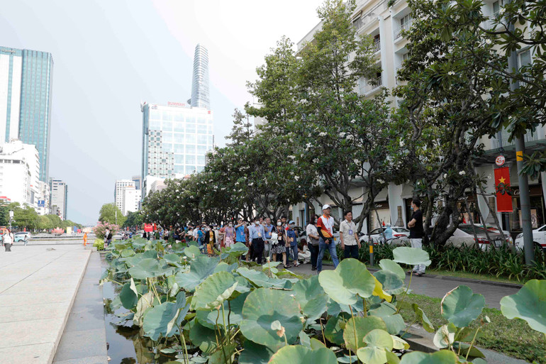 Du khách tham quan khu vực bên ngoài trụ sở Hội đồng nhân dân và Ủy ban nhân dân Thành phố Hồ Chí Minh. Du khách tham quan khu vực bên ngoài trụ sở Hội đồng nhân dân và Ủy ban nhân dân Thành phố Hồ Chí Minh.