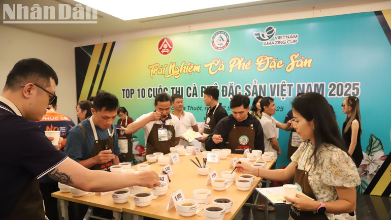 Các đại biểu và du khách trải nghiệm và thưởng thức Top 10 các mẫu cà-phê Robusta và Arabica đặc sản Việt Nam 2025.