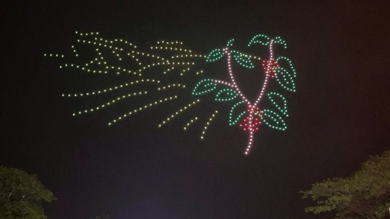 Drone xếp hình cây cà-phê. Drone xếp hình cây cà-phê.