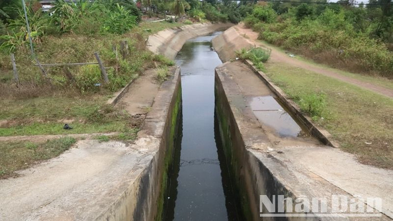 Công ty trách nhiệm hữu hạn một thành viên quản lý công trình thủy lợi Đắk Lắk chỉ đạo chi nhánh huyện Ea Súp tận dụng nguồn nước còn lại của Hồ Ea Súp Thượng để tưới đợt cuối cho những diện tích lúa gieo sạ muộn trên địa bàn. Công ty trách nhiệm hữu hạn một thành viên quản lý công trình thủy lợi Đắk Lắk chỉ đạo chi nhánh huyện Ea Súp tận dụng nguồn nước còn lại của Hồ Ea Súp Thượng để tưới đợt cuối cho những diện tích lúa gieo sạ muộn trên địa bàn.