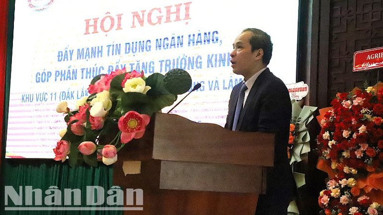 Phó Thống đốc Ngân hàng Nhà nước Đoàn Thái Sơn phát biểu tại hội nghị.