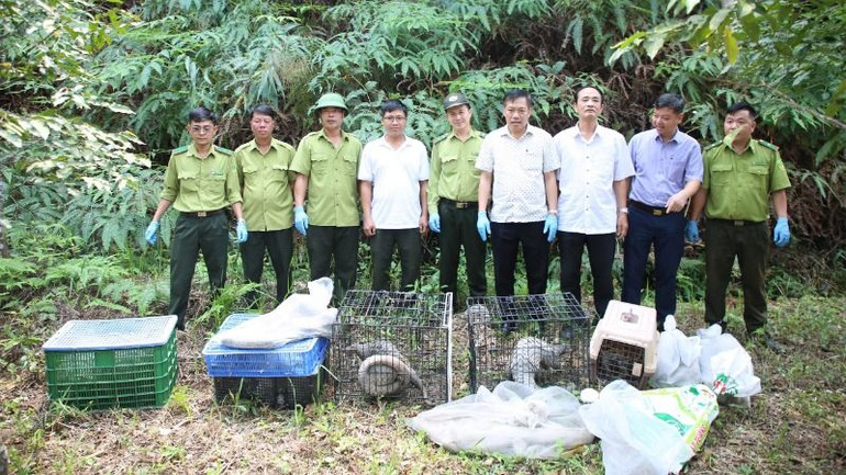 Lực lượng kiểm lâm và các đơn vị trước khi thả các cá thể động vật hoang dã về với tự nhiên tại Vườn quốc gia Chư Yang Sin.