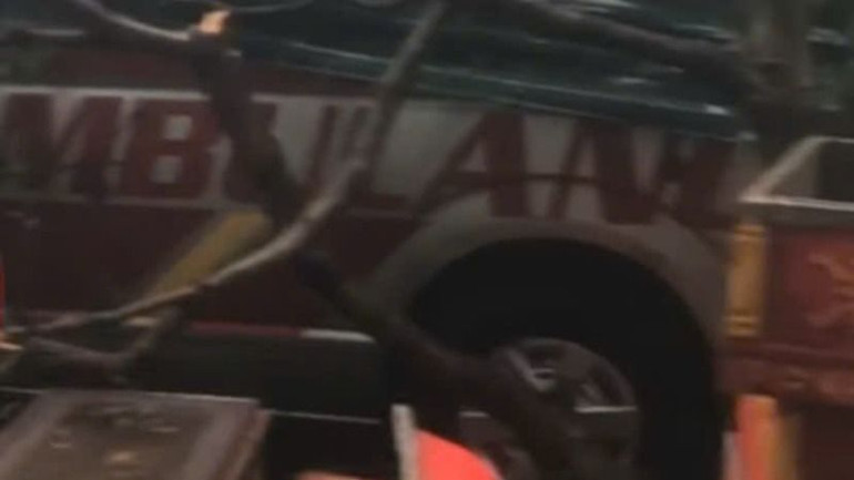 Cành và ngọn cây ngã đổ đè lên xe cứu thương của cơ sở dịch vụ tang lễ Đức Thịnh.