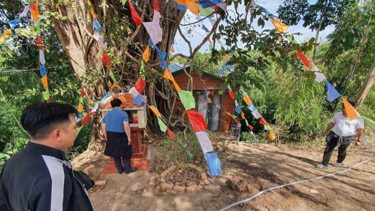 Một tỉnh thất được xây dựng trong khu đất rộng sáu ha của vợ chồng Nguyễn Anh Tuấn. (Sỹ Đức)