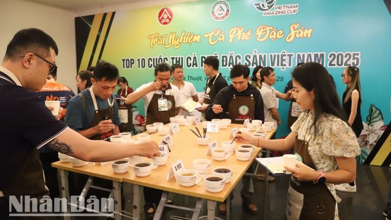 Những người yêu thích cà-phê đặc sản trải nghiệm Top 10 Cuộc thi cà-phê đặc sản Việt Nam 2025.