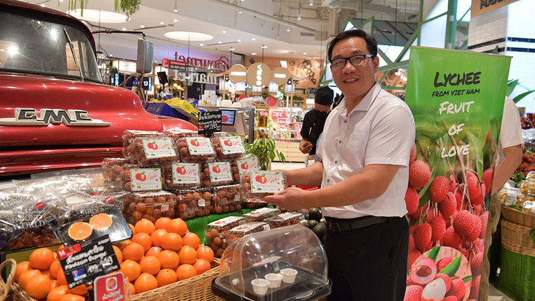 Ông Nguyễn Xuân Việt, Chủ tịch Hội đồng quản trị - Giám đốc VIFOCO.