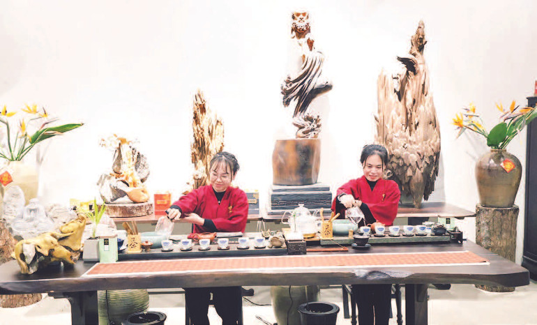 Nhân viên Bảo tàng trà Long Đỉnh biểu diễn quy trình pha trà.