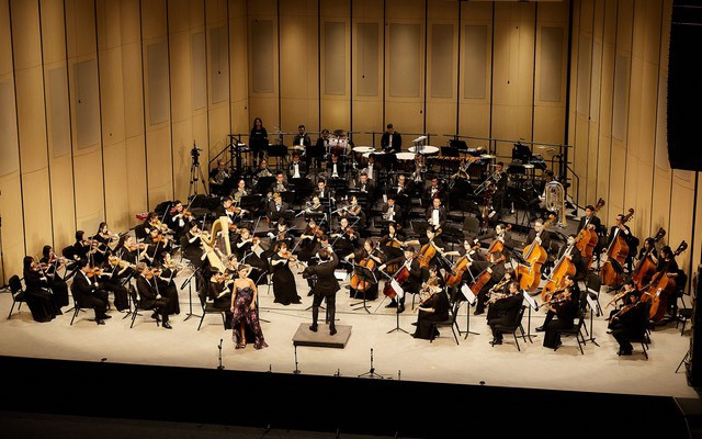 Từ khi đi vào hoạt động, Nhà hát Hồ Gươm đã là nơi trình diễn nhiều chương trình âm nhạc cổ điển thu hút được công chúng rộng rãi