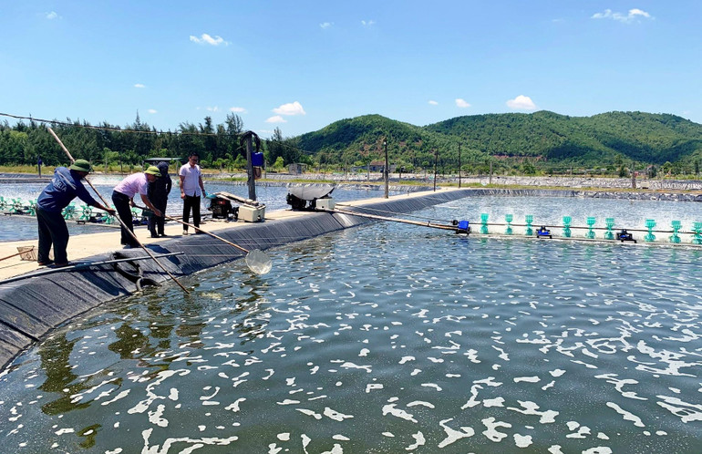 Mô hình nuôi tôm của anh Nguyễn Tiến Cường ở xóm 2, xã Diễn Trung phát triển từ vốn vay Ngân hàng Chính sách xã hội. Mô hình nuôi tôm của anh Nguyễn Tiến Cường ở xóm 2, xã Diễn Trung phát triển từ vốn vay Ngân hàng Chính sách xã hội.