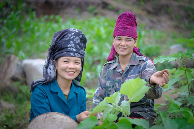 Vùng nguyên liệu trồng gai và nhà máy sợi gai của Công ty Thiên Phước ở huyện Cẩm Thủy (Thanh Hóa) tạo việc làm cho gần 1.000 lao động địa phương. Vùng nguyên liệu trồng gai và nhà máy sợi gai của Công ty Thiên Phước ở huyện Cẩm Thủy (Thanh Hóa) tạo việc làm cho gần 1.000 lao động địa phương.