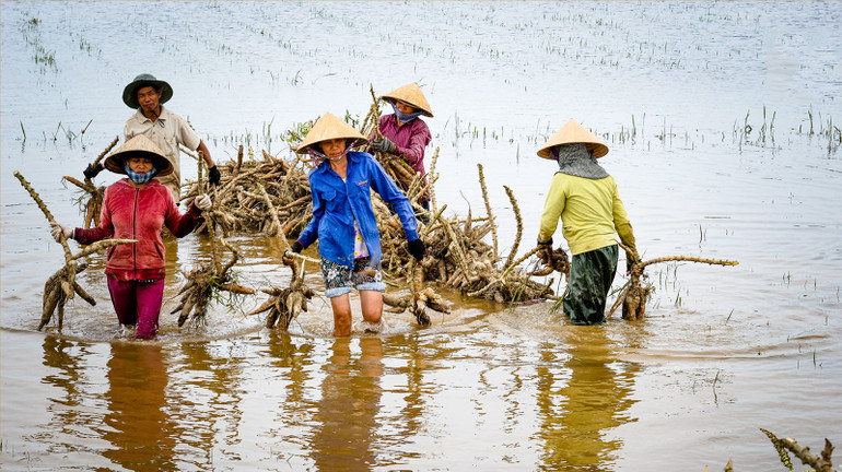 Hình ảnh người nông dân khắc phục thiệt hại sau cơn bão qua bức ảnh "Khi bão đi qua" của tác giả Nguyễn Khoa Huy, Thừa Thiên Huế. (Ảnh: Ban Chỉ đạo quốc gia về phòng, chống thiên tai)