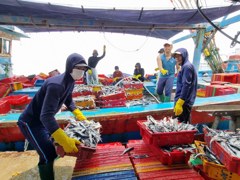 Các ngư dân luôn muốn gắn bó với biển đảo quê hương. (Trong ảnh: Ngư dân Đà Nẵng sau một chuyến đánh bắt xa bờ)