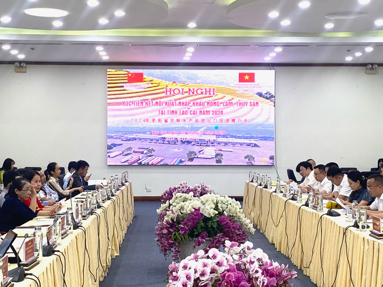 Quang cảnh hội nghị tại thành phố Lào Cai chiều 1/11.