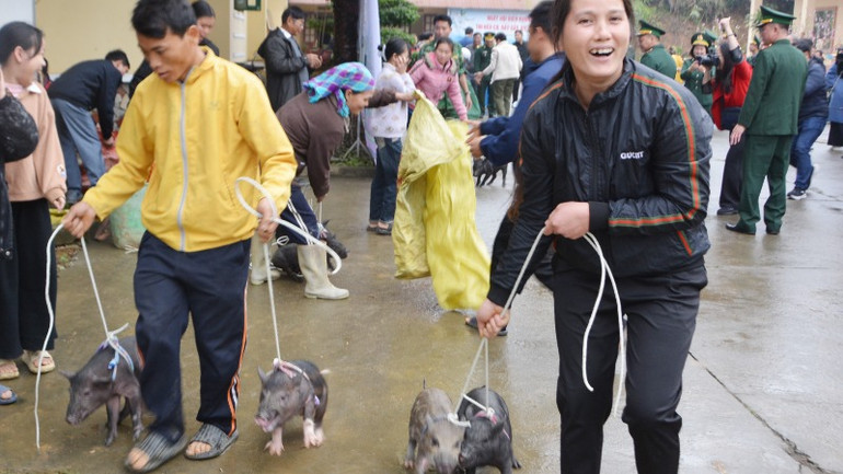 Người dân vui mừng khi nhận được các con lợn giống do Bộ đội Biên phòng tặng.