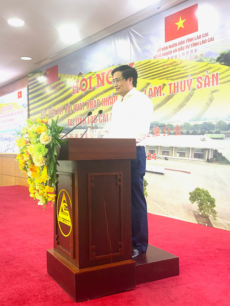 Đồng chí Nguyễn Việt Cường, Phó Giám đốc Sở Kế hoạch và Đầu tư Lào Cai báo cáo tại hội nghị.