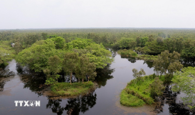 Một góc Vườn Quốc gia U Minh Thượng, tỉnh Kiên Giang. (Ảnh: Lê Huy Hải/TTXVN) Một góc Vườn Quốc gia U Minh Thượng, tỉnh Kiên Giang. (Ảnh: Lê Huy Hải/TTXVN)