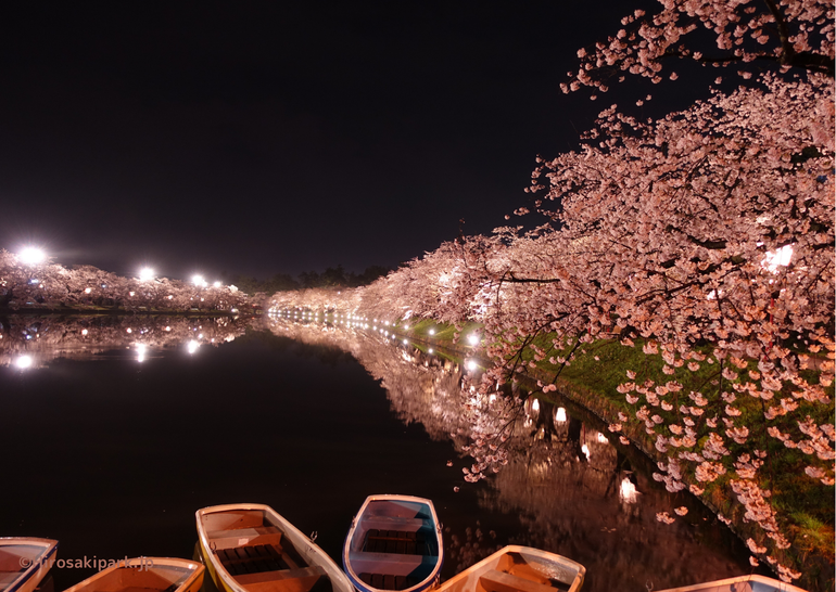 Hoa anh đào và thành Hirosaki được thắp sáng vào ban đêm tạo nên một khung cảnh đầy mê hoặc. (Ảnh: JNTO cung cấp)