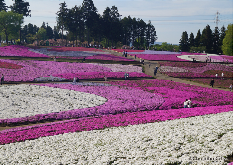 (Ảnh: JNTO cung cấp)