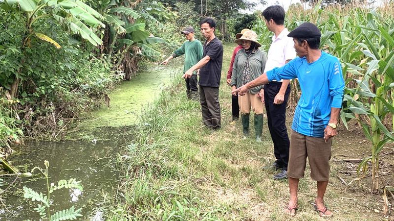 Nước thải từ trang trại chăn nuôi heo nái tràn vào khu vực nương rẫy của người dân ở thôn Tân Lợi 1, xã Ea Uy.