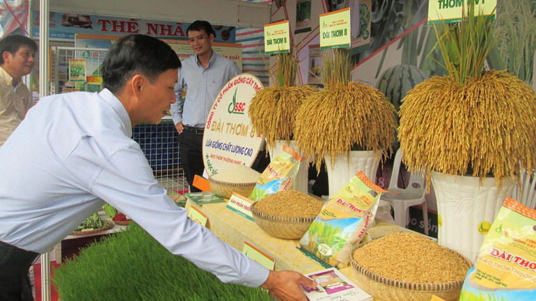 Giá trị xuất khẩu gạo Việt cũng đang ở mức cao nhờ đa dạng hóa các loại gạo có chất lượng.