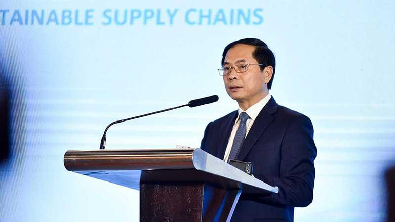 Bộ trưởng Ngoại giao Bùi Thanh Sơn phát biểu tại sự kiện.