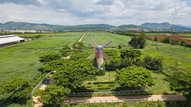 Không gian xanh mát, trong lành tại trang trại bò sữa Vinamilk Organic Đà Lạt.