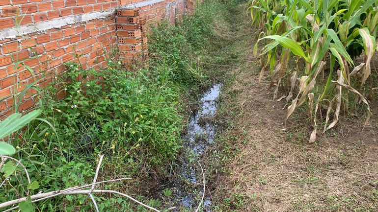 Nước từ trang trại chăn nuôi heo nái thấm ra ngoài tường rào gây ô nhiễm môi trường.