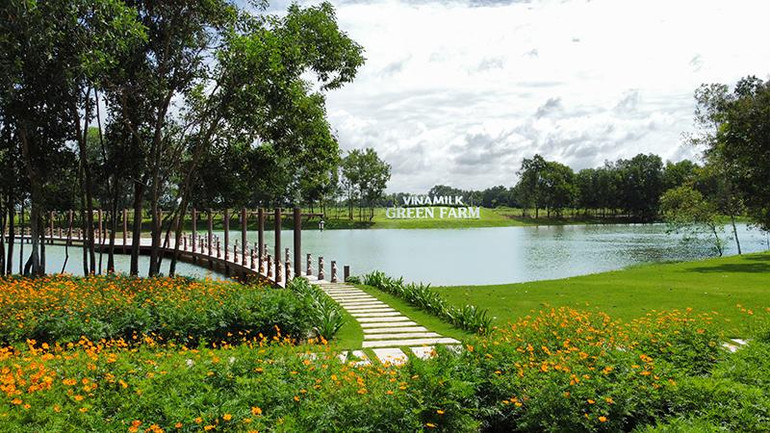 Vinamilk hiện có 3 trang trại sinh thái Vinamilk Green Farm tại Tây Ninh, Thanh Hóa, Quảng Ngãi với hơn 20.000 bò sữa.