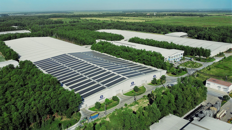 Hệ thống năng lượng mặt trời đã được lắp đặt tại các trang trại của Vinamilk.