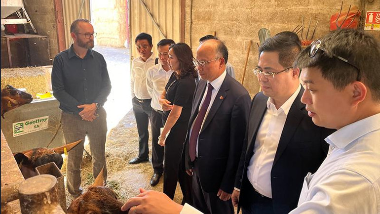 Đoàn Bộ Khoa học và Công nghệ thăm Trường đào tạo dạy nghề Davayé ngoại ô thành phố Mâcon. Tham dự có Đại sứ Việt Nam tại Pháp Đinh Toàn Thắng.