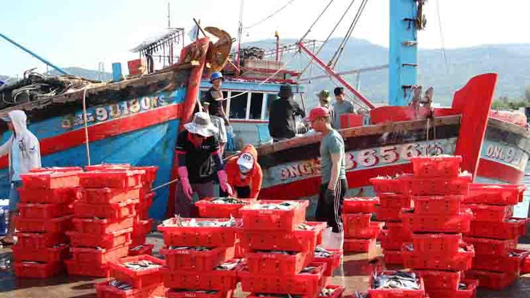 Bốc dỡ hải sản tại cảng cá Thọ Quang.