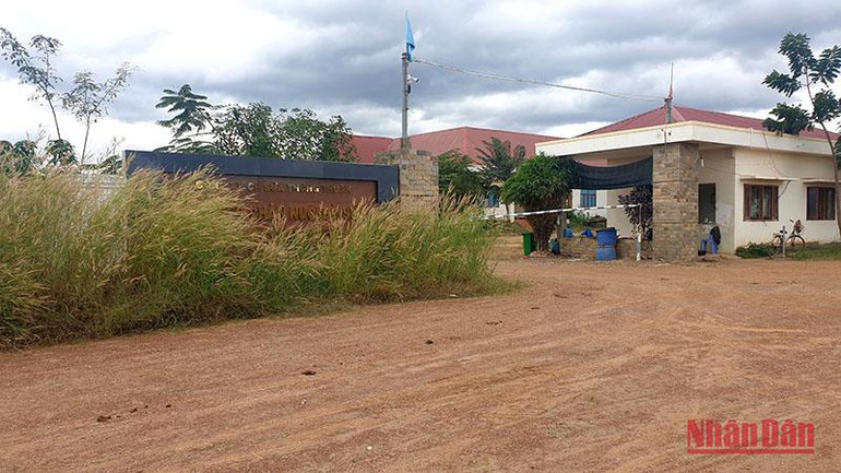 Xí nghiệp chăn nuôi bò sữa, bò thịt công nghệ cao của Công ty cổ phần sữa Thông Thuận gần như bị bỏ hoang không người chăm sóc.