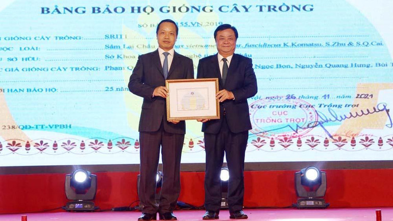 Bộ trưởng Nông nghiệp và Phát triển nông thôn trao Bằng bảo hộ giống cây trồng đối với cây sâm Lai Châu cho tỉnh Lai Châu. Bộ trưởng Nông nghiệp và Phát triển nông thôn trao Bằng bảo hộ giống cây trồng đối với cây sâm Lai Châu cho tỉnh Lai Châu.