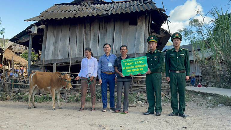 Bộ đội Biên phòng trao tặng bò giống, giúp người dân trên địa bàn vùng sâu biên giới phát triển kinh tế.