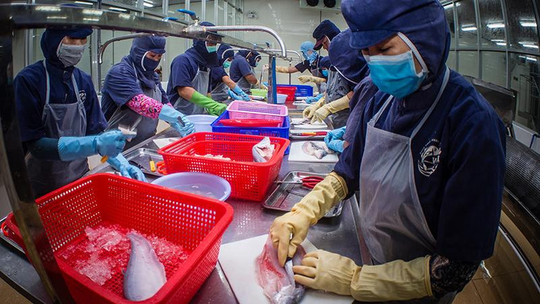 Lao động có việc làm ổn định ở Khu công nghiệp Sông Hậu, huyện Châu Thành-Hậu Giang. Lao động có việc làm ổn định ở Khu công nghiệp Sông Hậu, huyện Châu Thành-Hậu Giang.