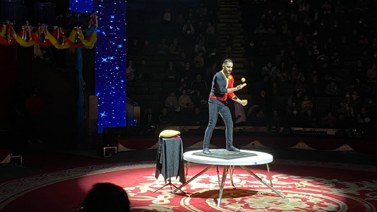 Tiết mục biểu diễn dự thi của nghệ sĩ xiếc đến từ Ai Cập. Tiết mục biểu diễn dự thi của nghệ sĩ xiếc đến từ Ai Cập.