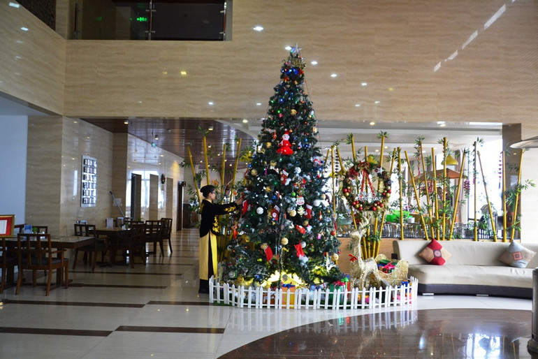 Cây thông Noel trong khách sạn Amazing-Sa Pa.