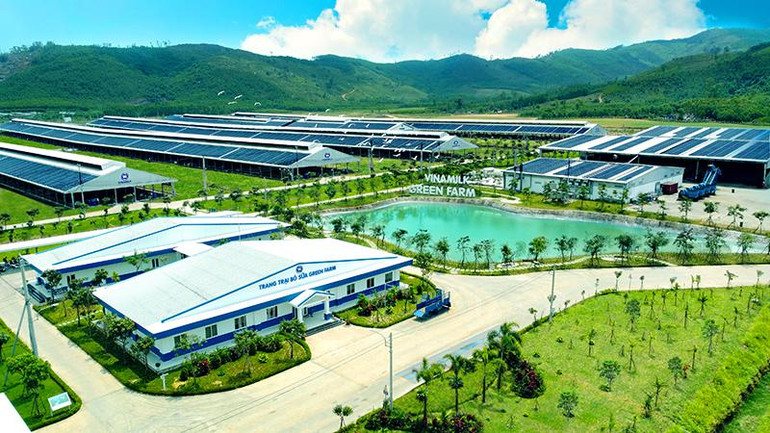 Trang trại sinh thái Vinamilk Green Farm - một điển hình về phát triển bền vững trong nông nghiệp được Vinamilk xây dựng.