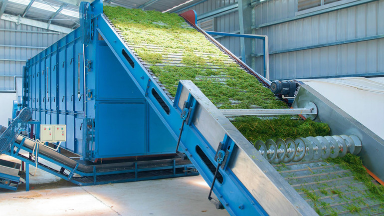 Hệ thống sấy cỏ sử dụng khí mê-tan được xử lý qua Biogas giúp trang trại Vinamilk tiết kiệm được nhiều chi phí điện năng khi vận hành.