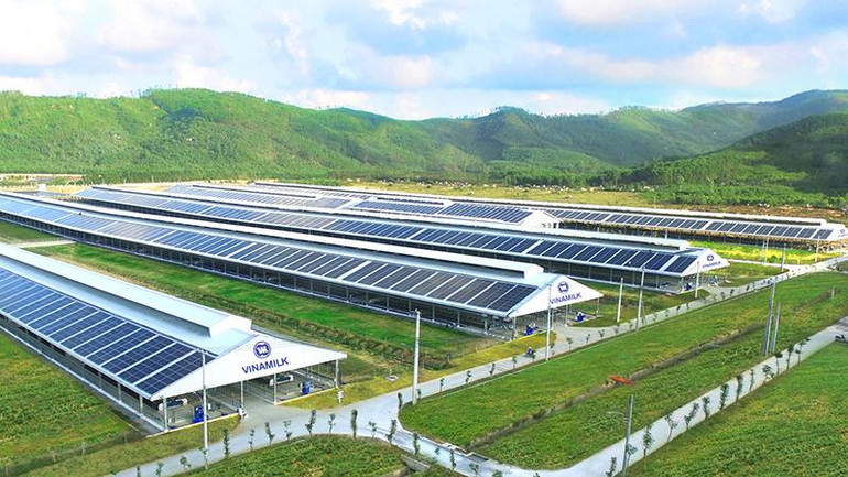 Hệ thống trang trại sinh thái Vinamilk Green Farm là kết quả nổi bật của Vinamilk trong việc thực hiện chiến lược phát triển bền vững.