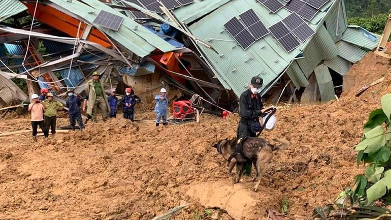Đưa chó nghiệp vụ tham gia tìm kiếm nạn nhân vụ sạt lở.