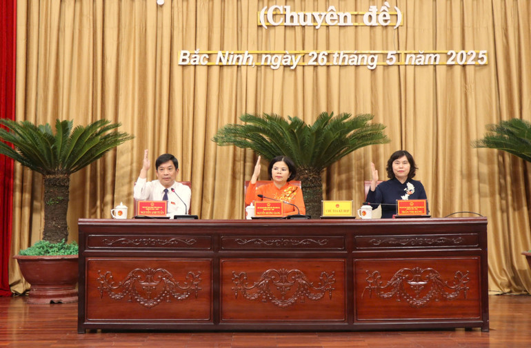 Chủ tọa kỳ họp biểu quyết. Chủ tọa kỳ họp biểu quyết.