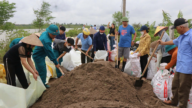 Người dân xã Long Châu tiếp tục gia cố, bảo vệ an toàn đê.
